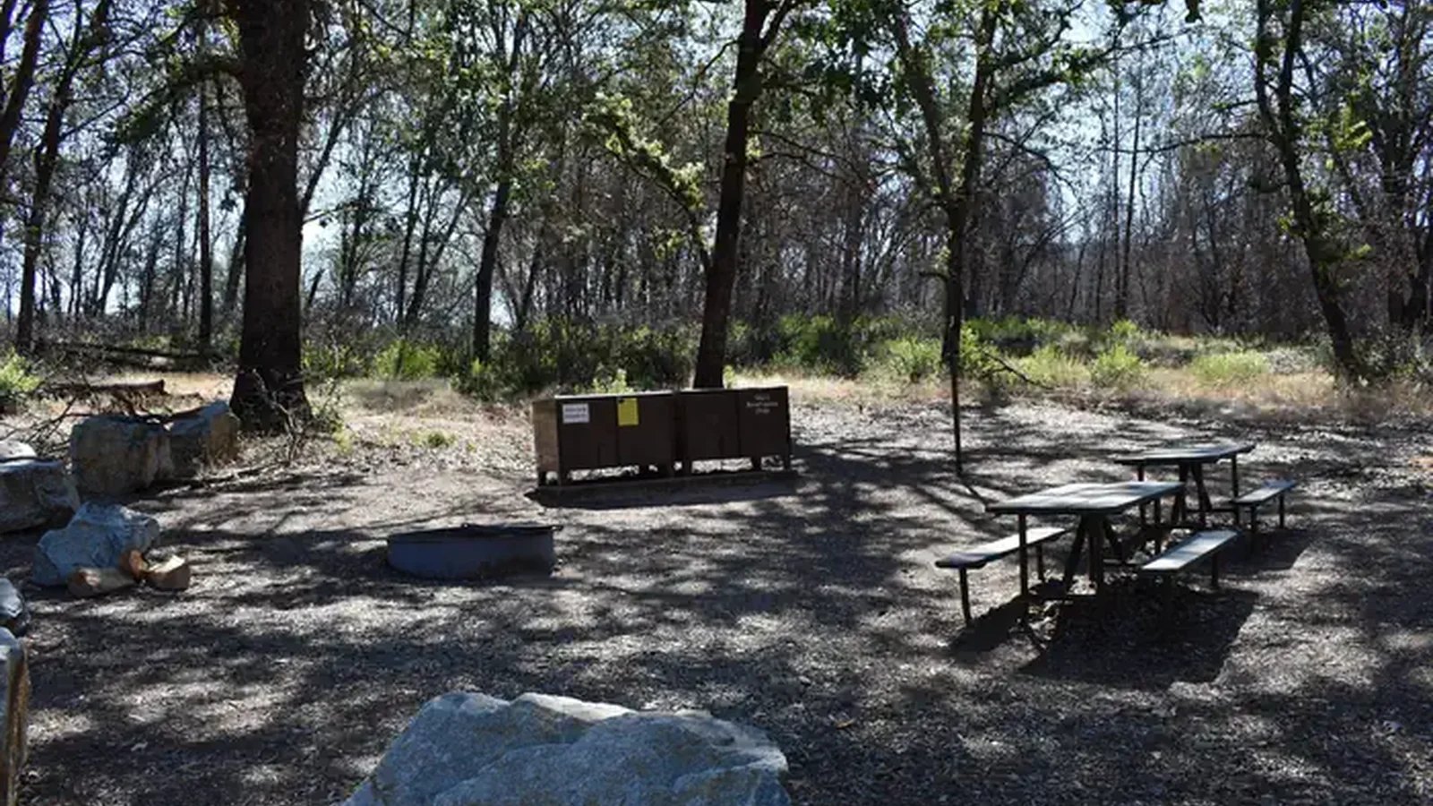 Horse Camp site #1