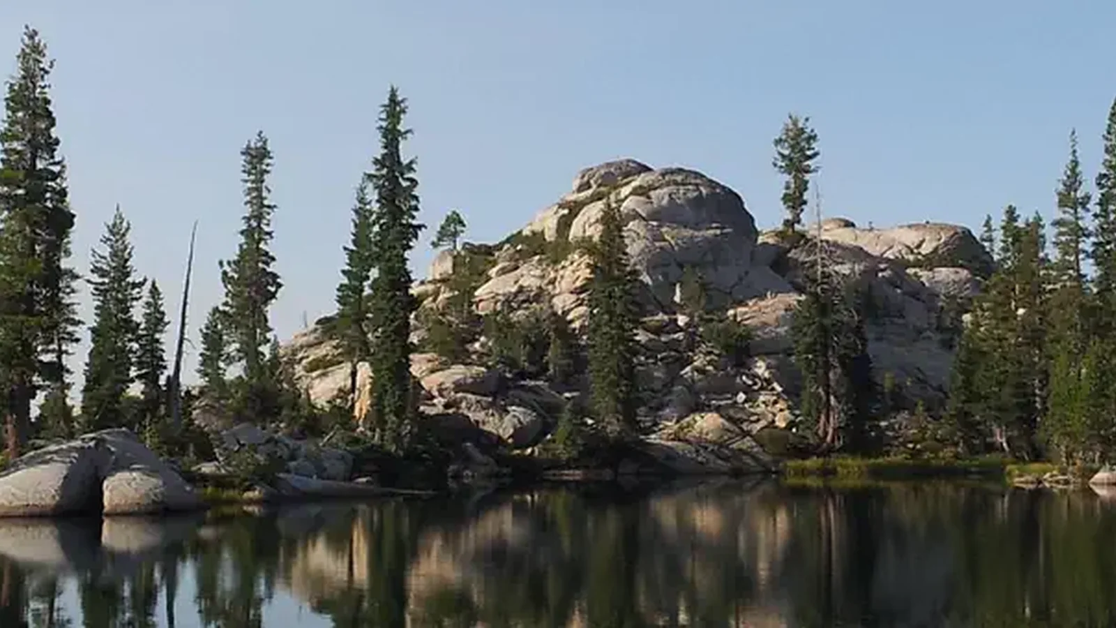 Stanislaus National Forest