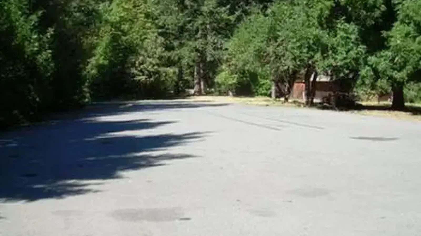 CHINQUAPIN GROUP CAMPGROUND