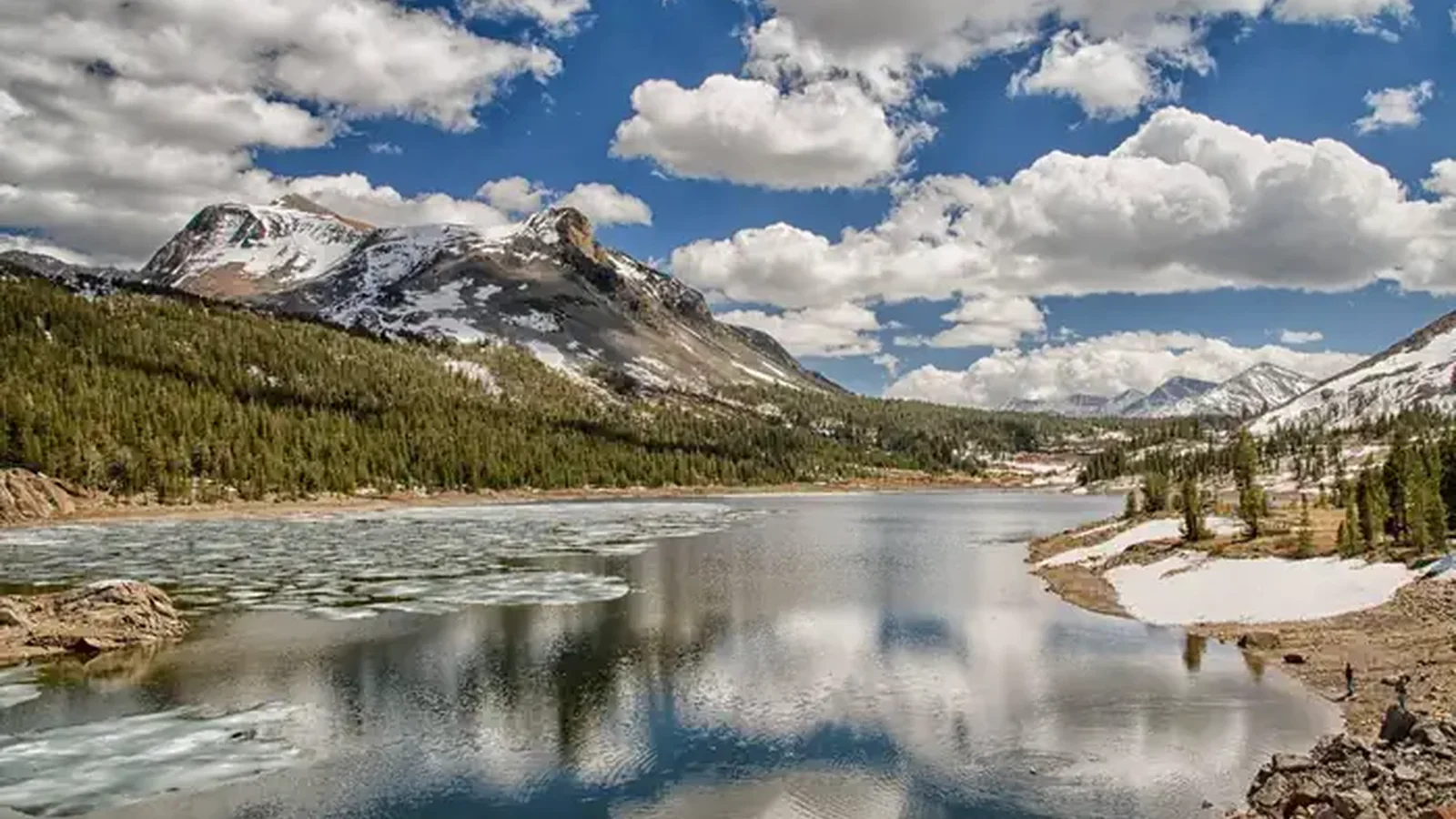 Inyo National Forest