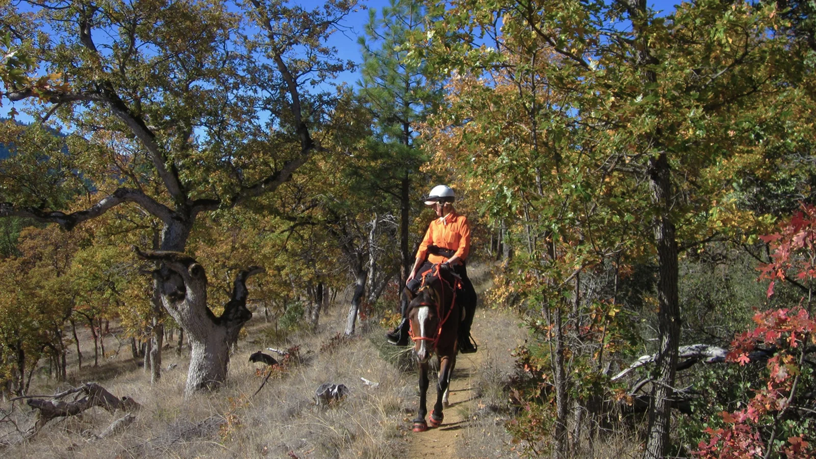 Sterling Mine Ditch Trail