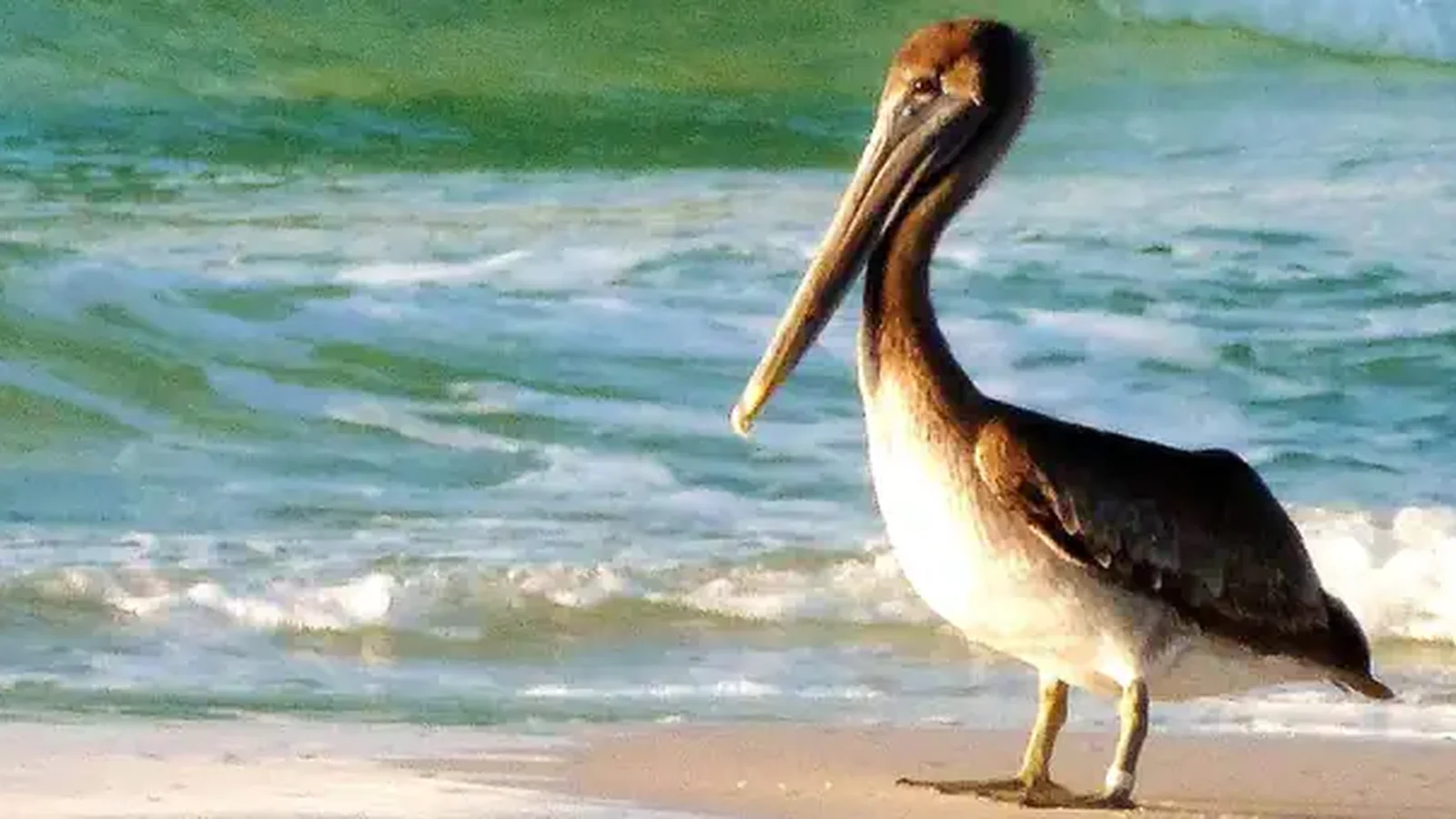 Gulf Islands National Seashore