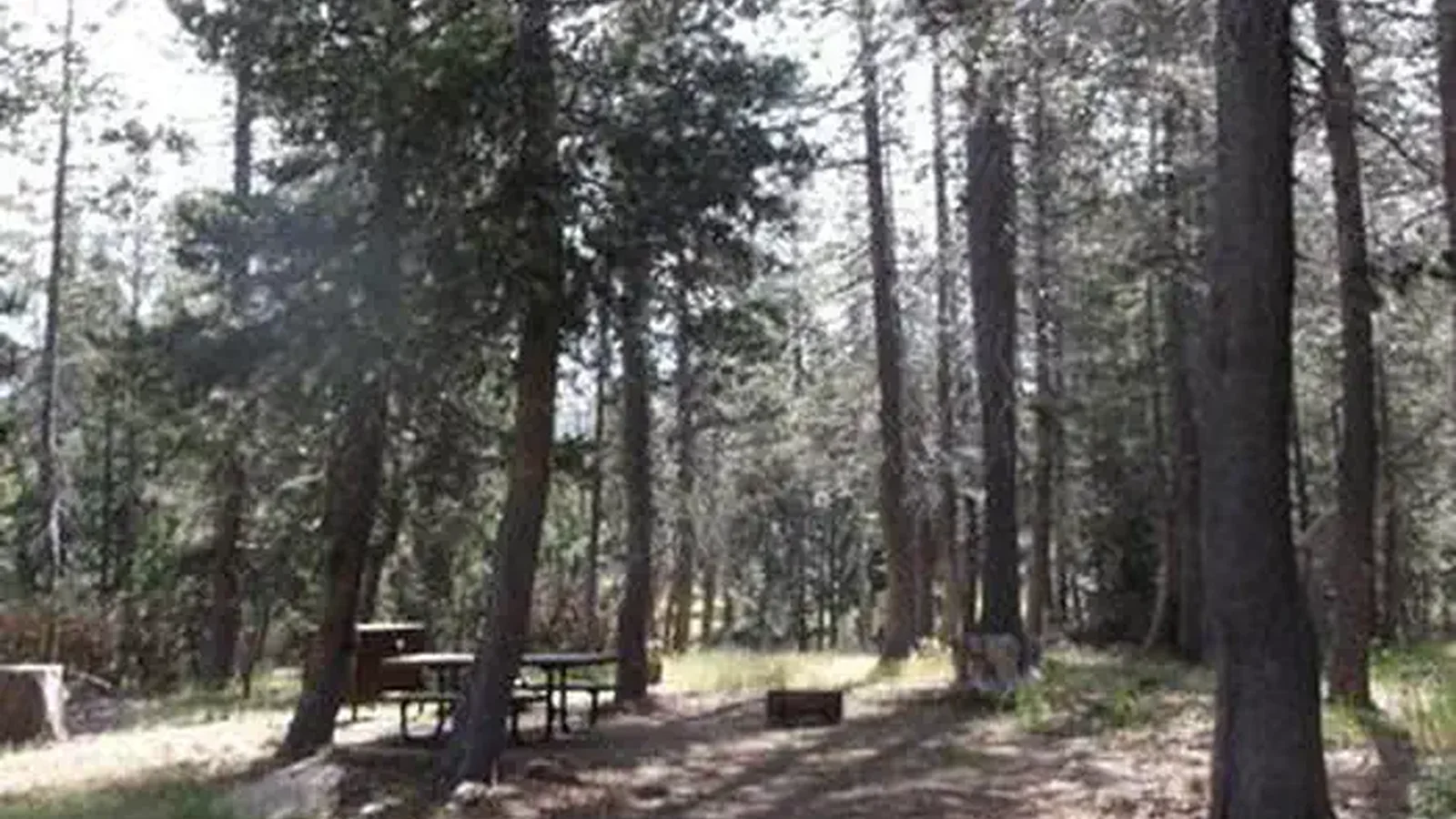 WRIGHTS LAKE EQUESTRIAN CAMPGROUND