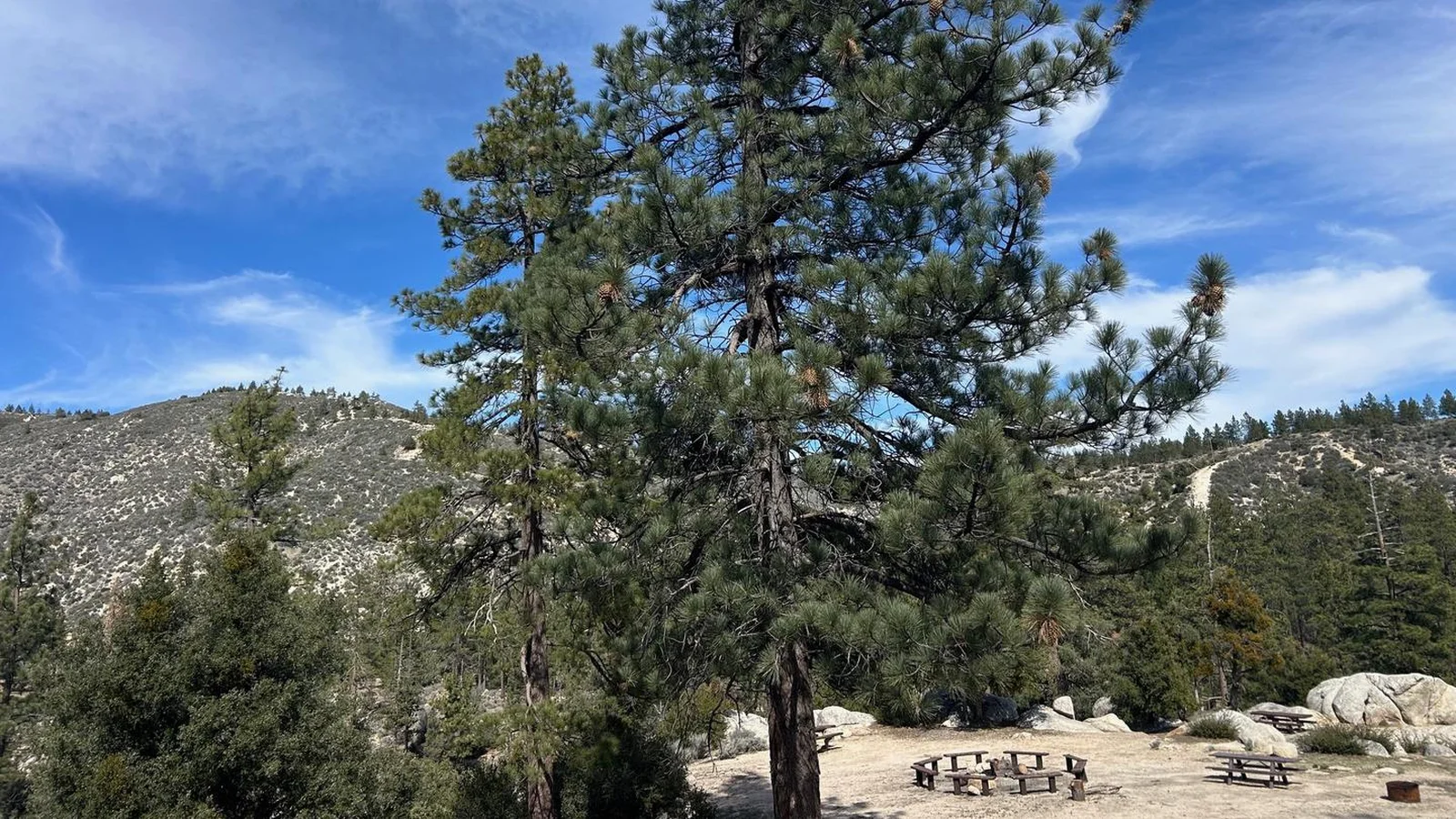 Manzanita Loop Viewpoint