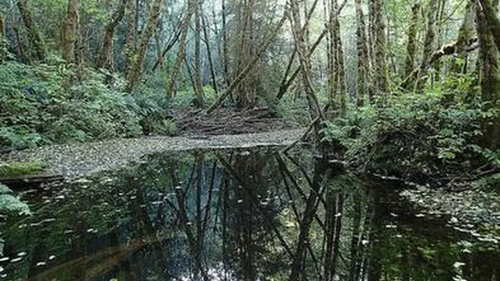 Elk River