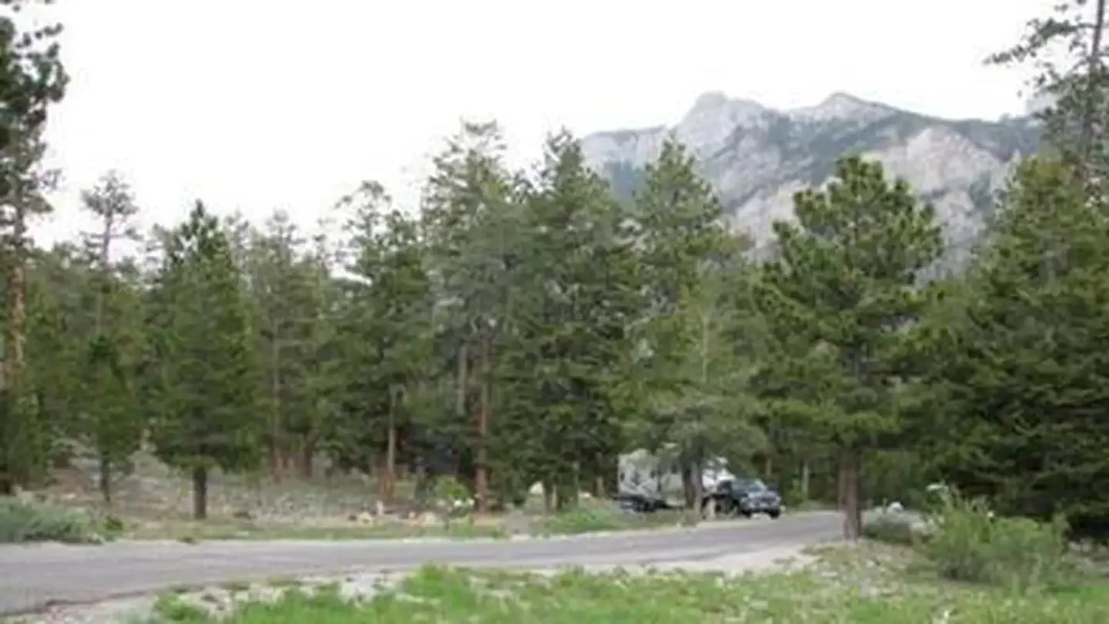 McWilliams view