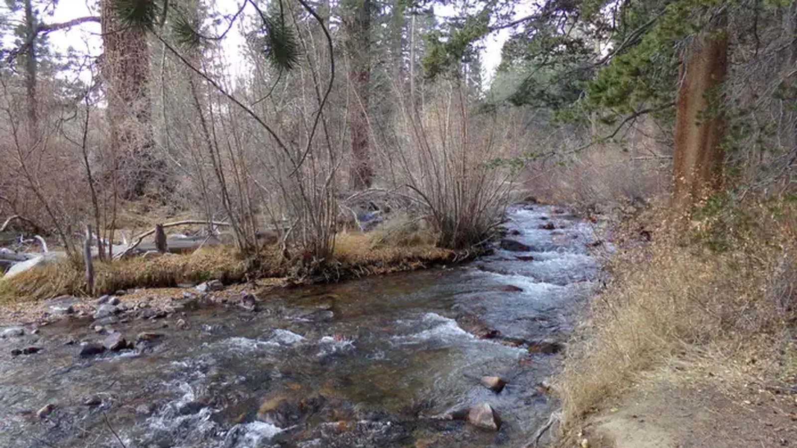 Fishing creek at Bishop Park