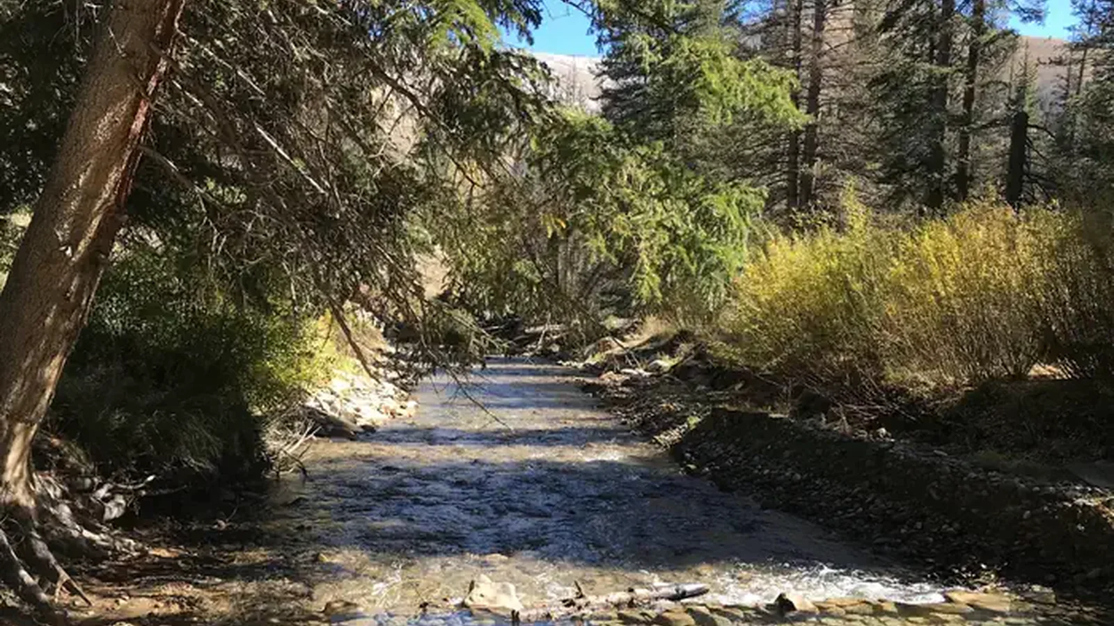 Forks of Huntington Campground