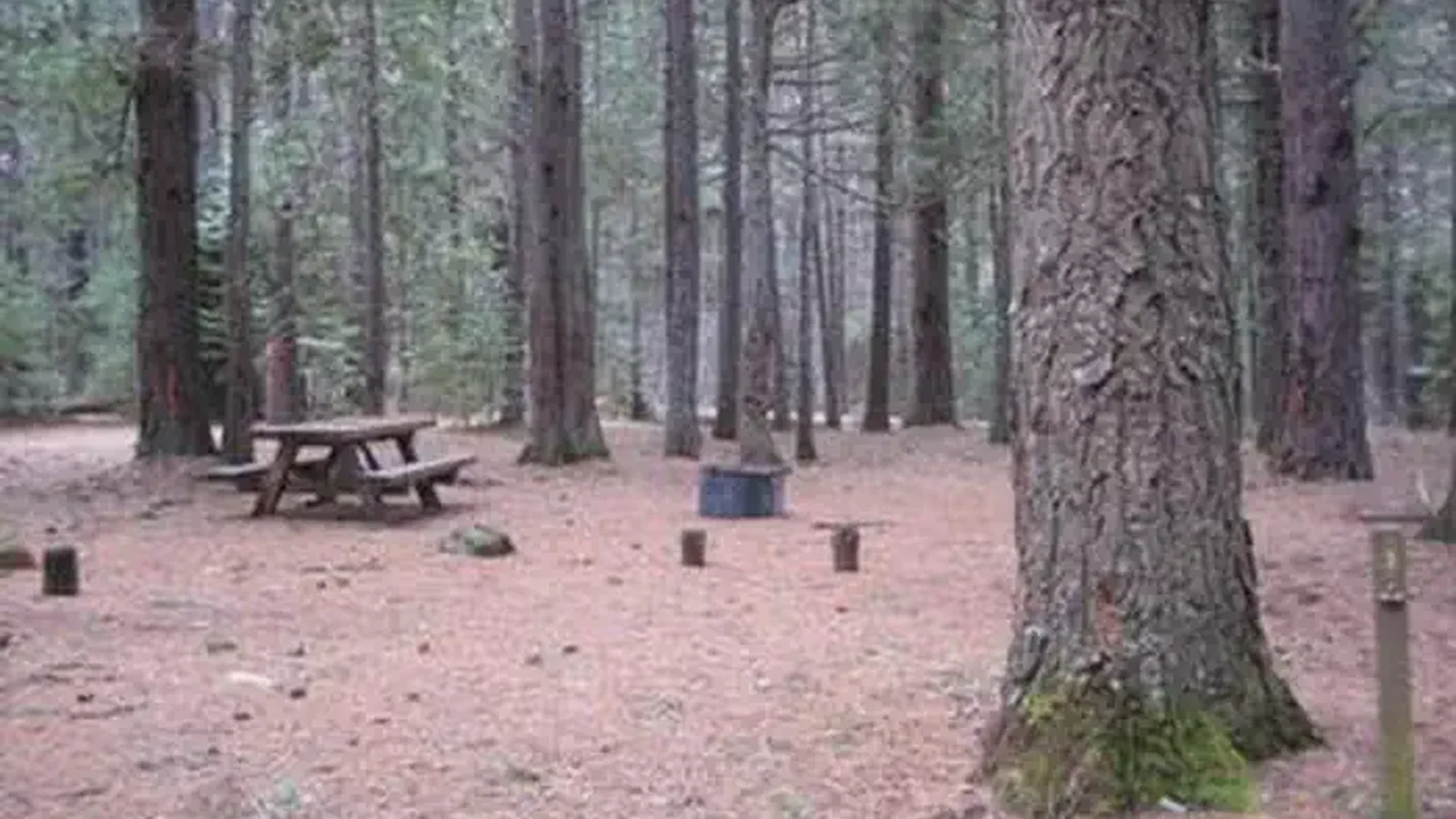 FOURBIT FORD CAMPGROUND