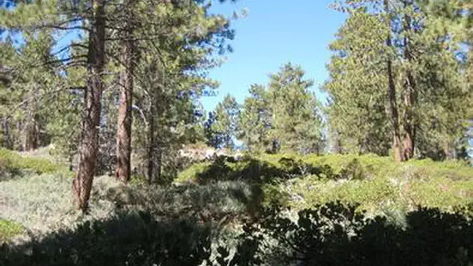 Boulder Group Campground view