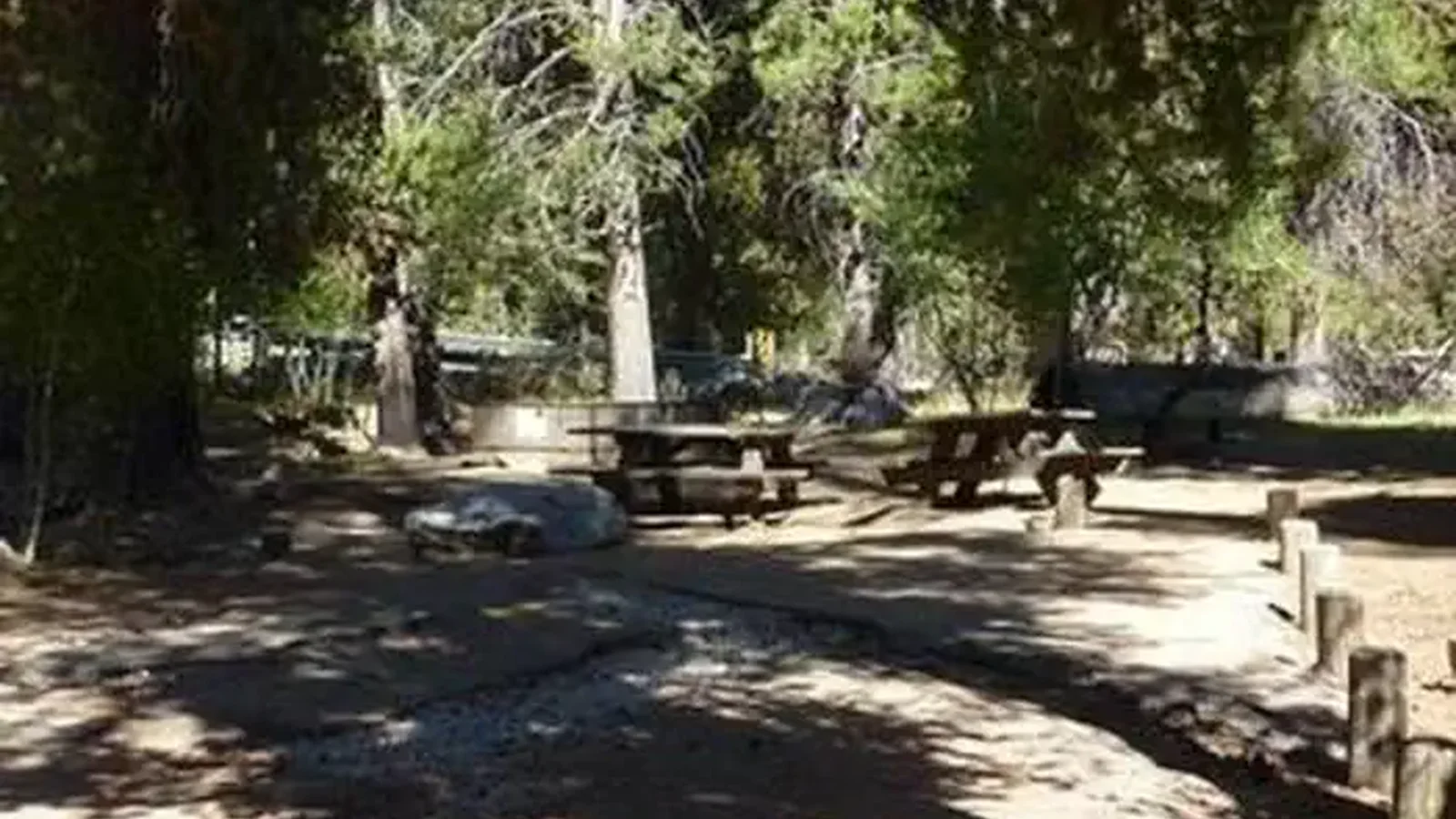 JACKASS MEADOW