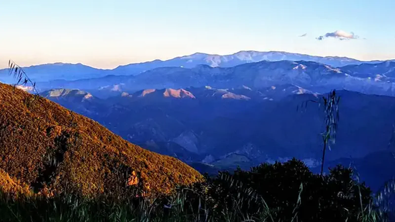 Los Padres National Forest