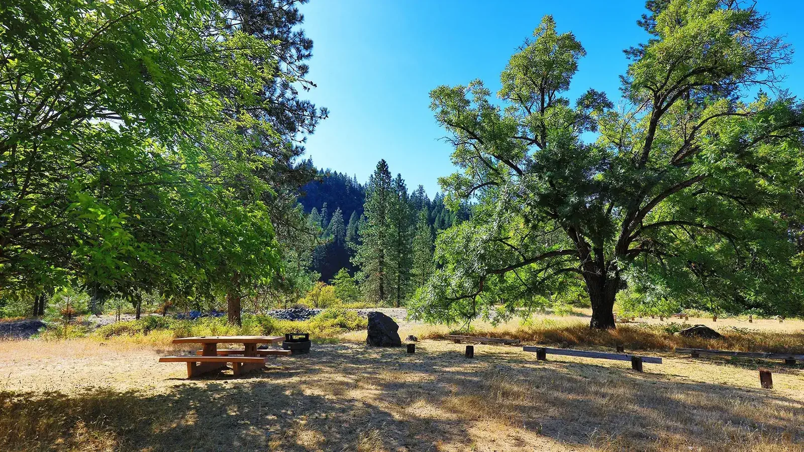 Camp Site