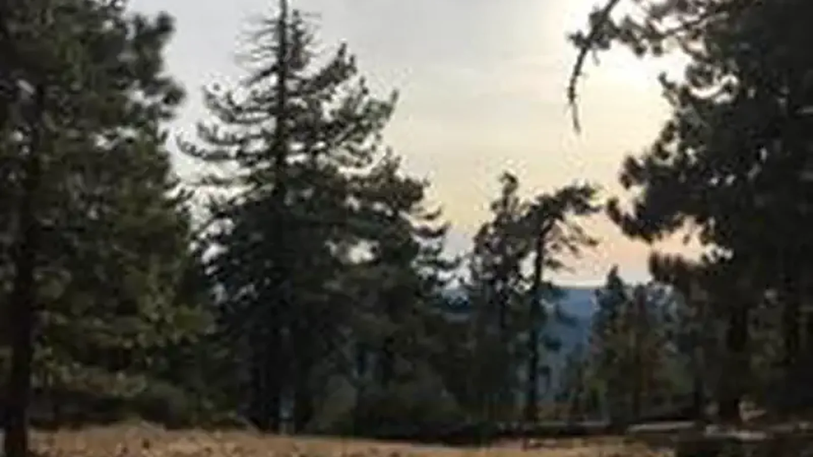 REYES PEAK CAMPGROUND