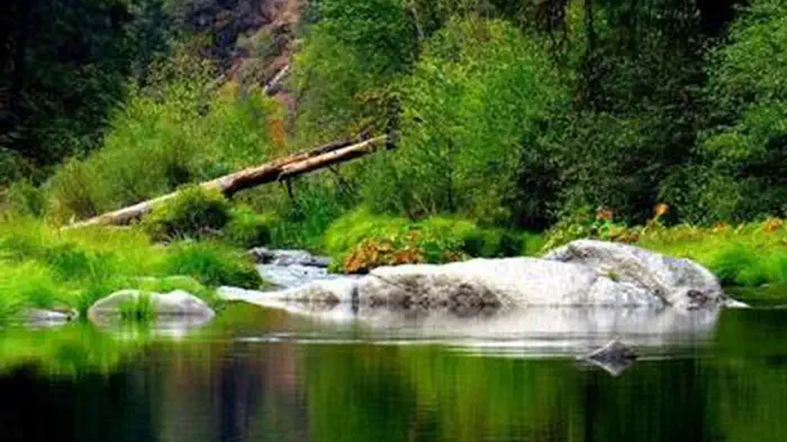 BRIDAL VEIL GROUP AREA AND PICNIC GROUND