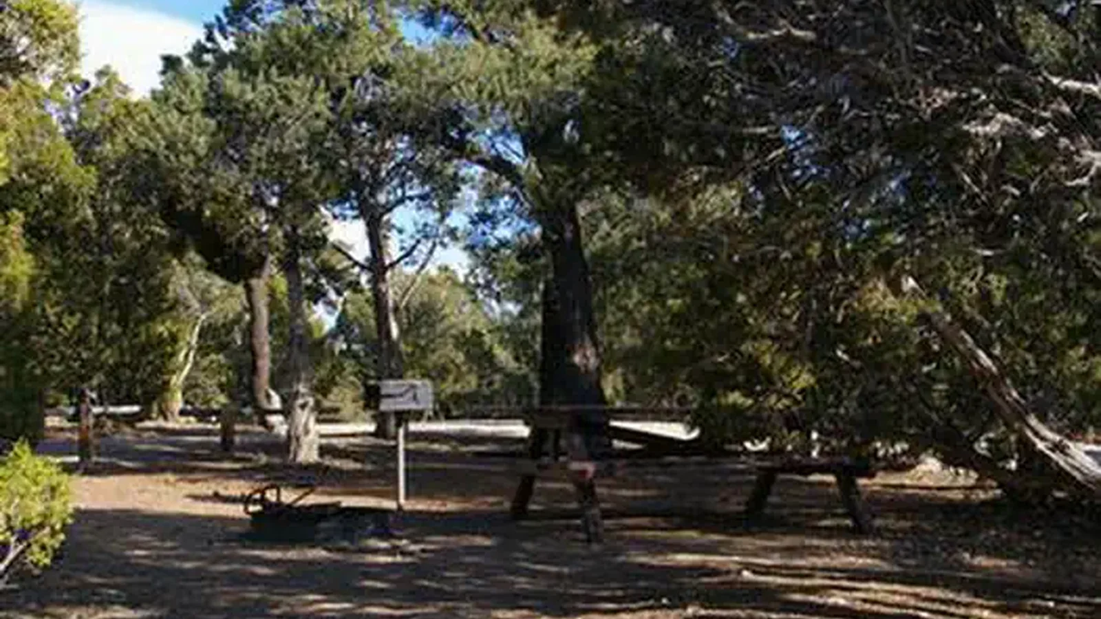 WARD MTN. CAMPGROUND (MURRAY SUMMIT)