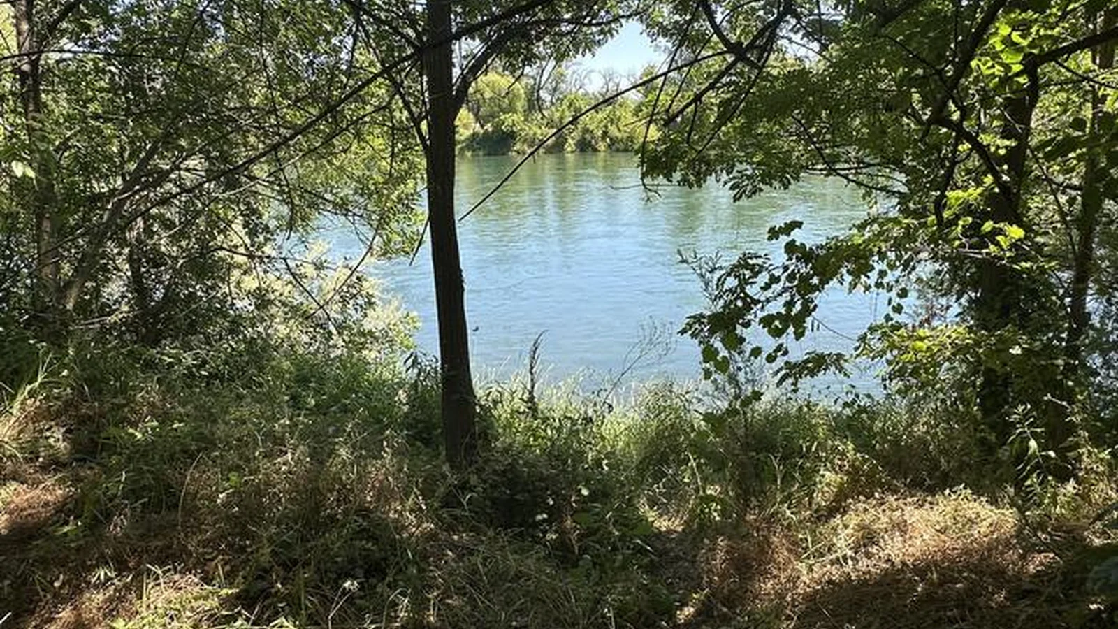 View of Sacramento River from Trail