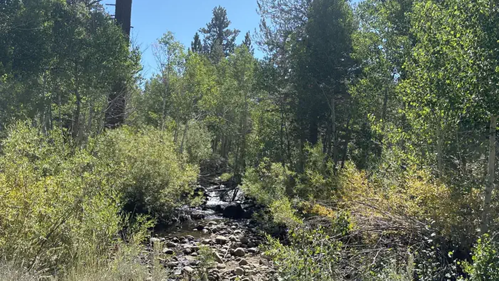 A photo of facility Obsidian with No Amenities Shown