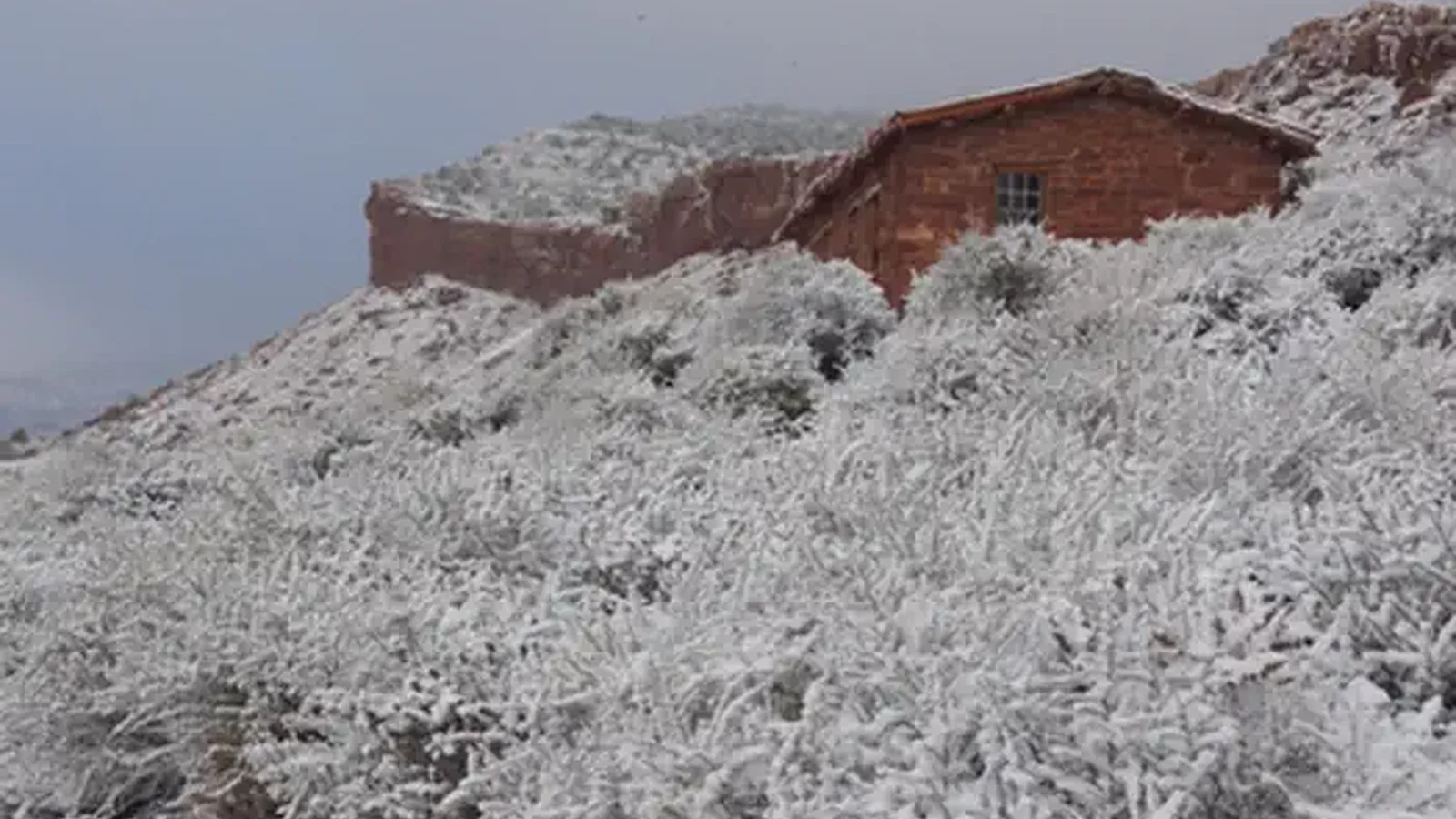 West Cabin in Snow