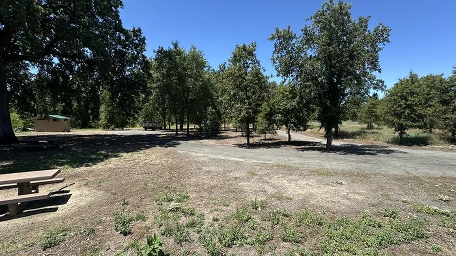 Parking area/driving loop, toilet, and edge of camping area