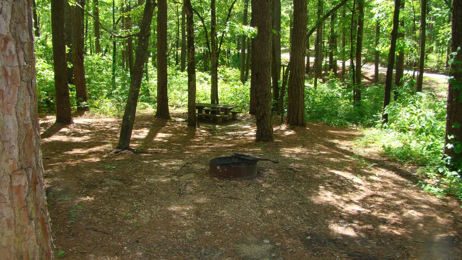 Jeff Busby Campground in Springtime