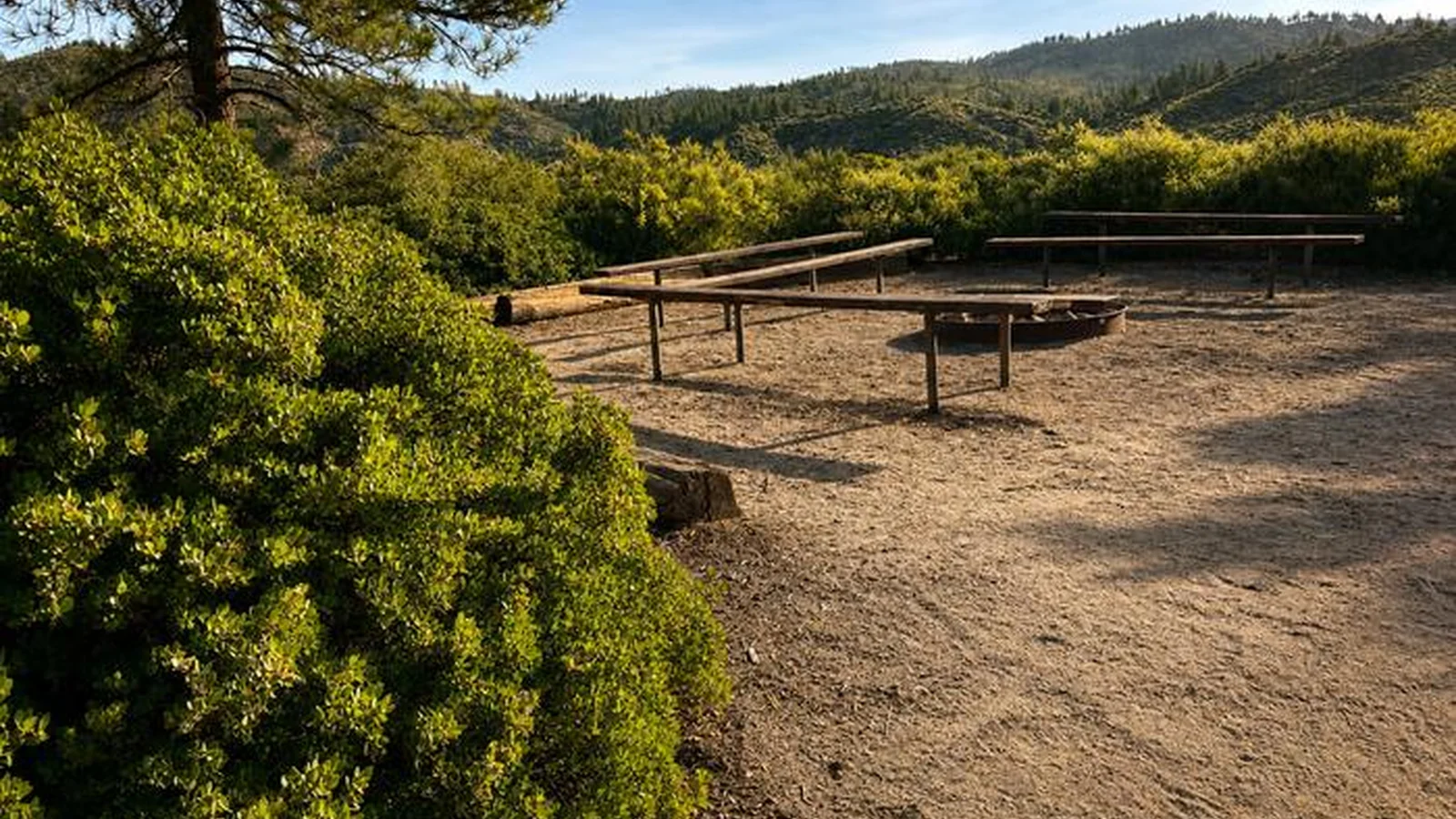 Shrubs and group fire rings
