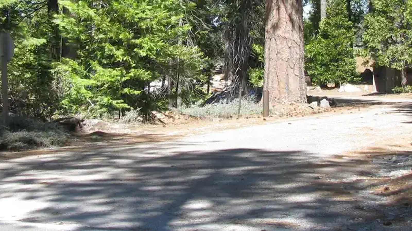Pioneer Trail Group Campground