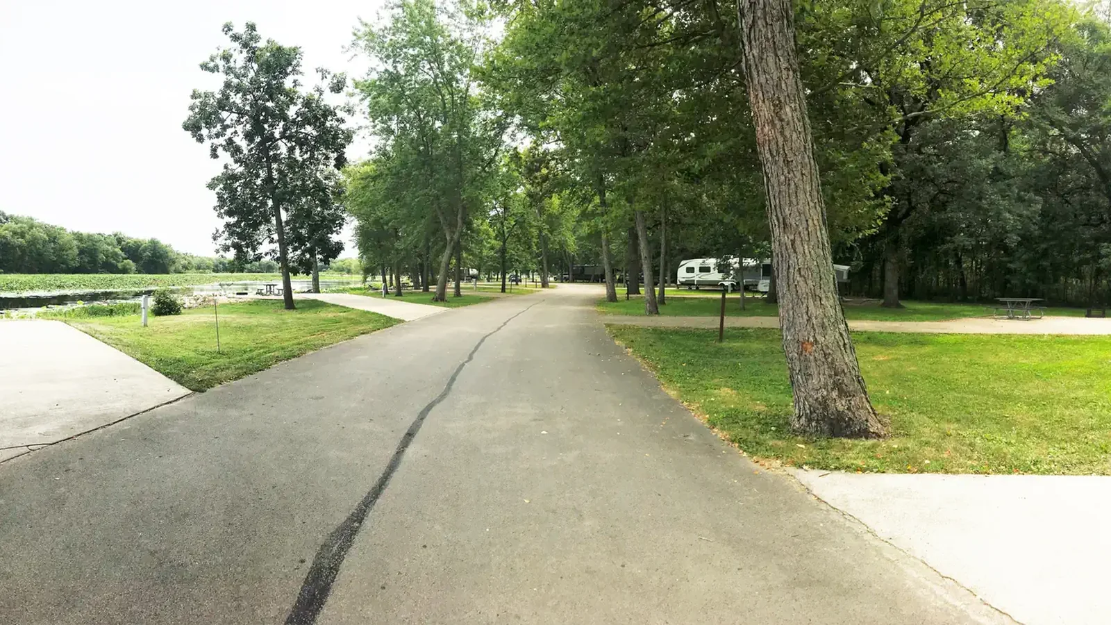 View of Potter’s North campground loop roadway.