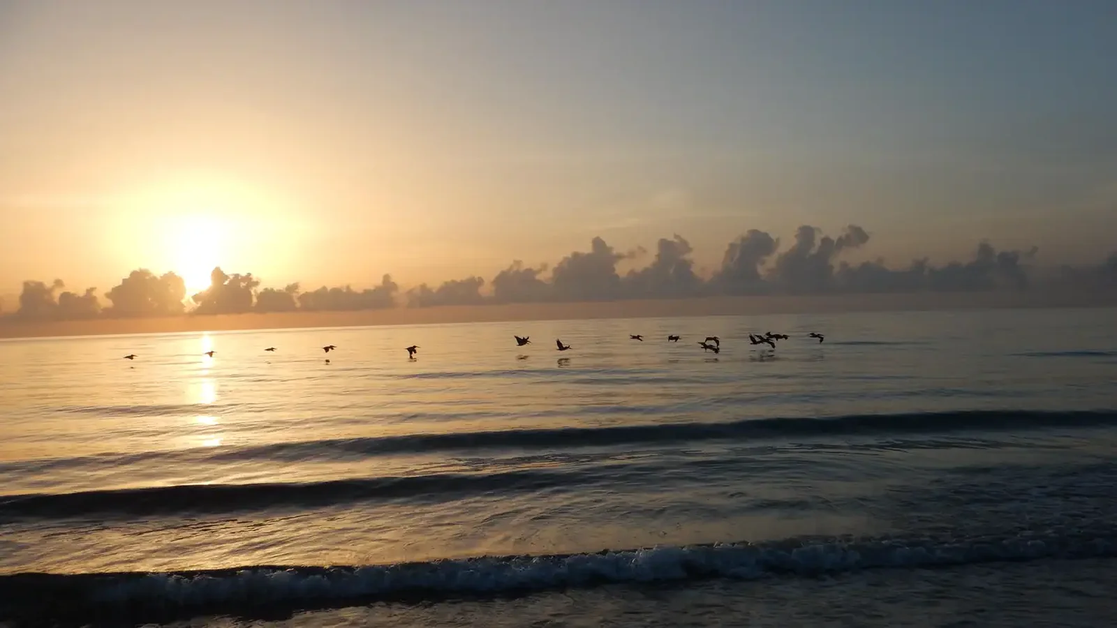 Silhouette of birds flying over the Atlantic Ocean as the sun rises above the cloudy horizon.