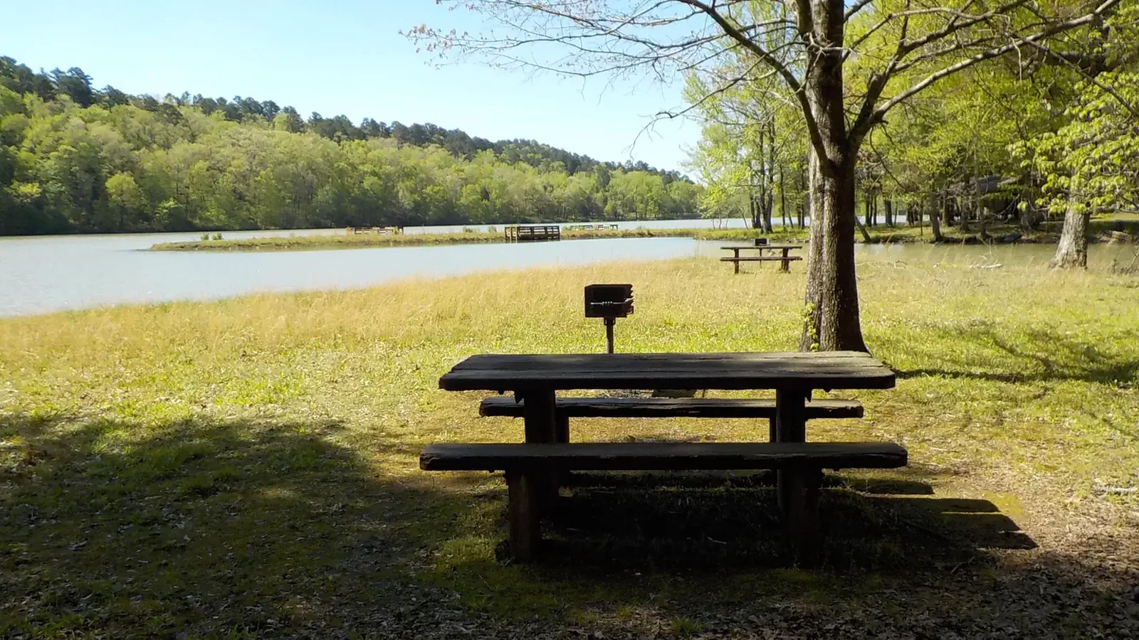 Shores Lake