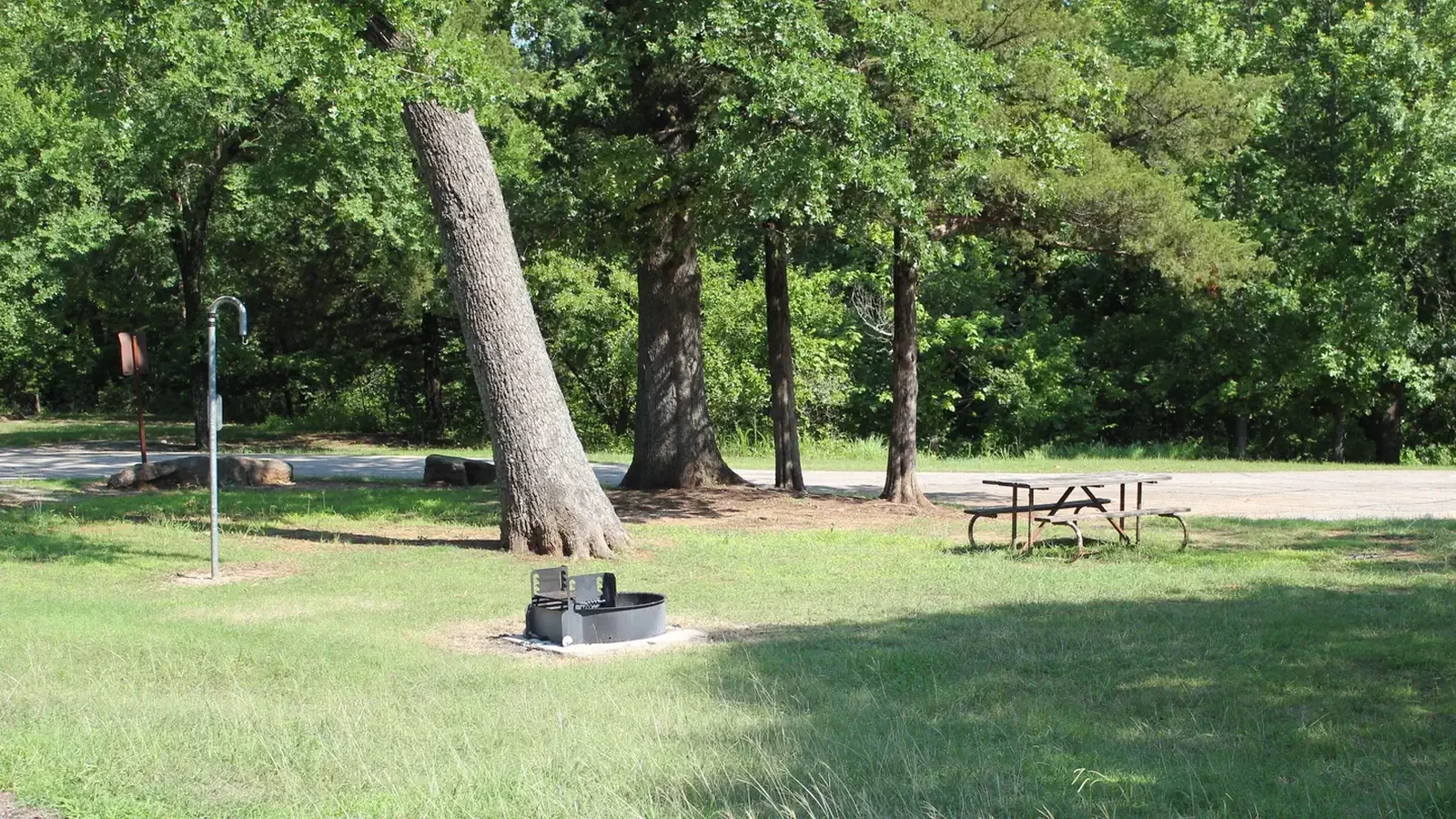 Central Group Campground showing a metal firepit, picnic table, food hanger, grassy area, trees