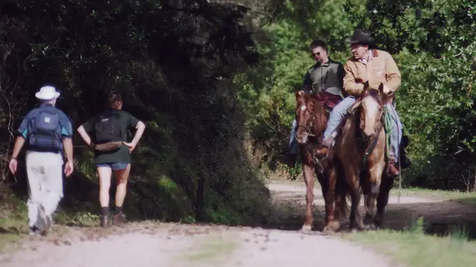 Hikers and horse riders on Bear Valley Trail