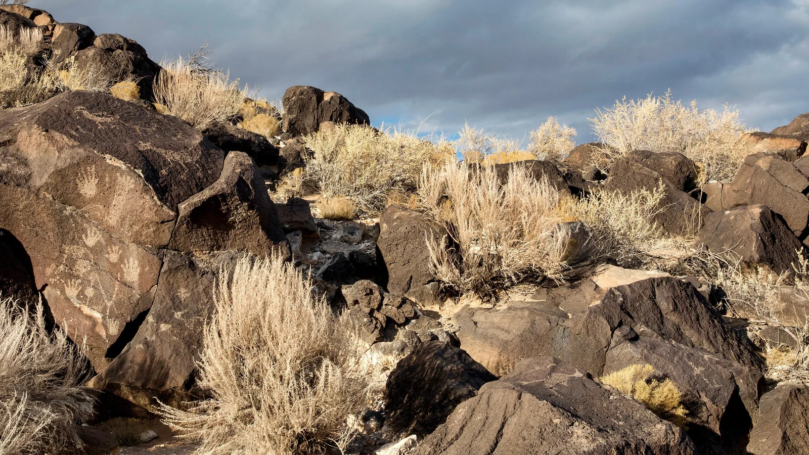 Handprint petroglyphs in Piedras Marcadas Canyon