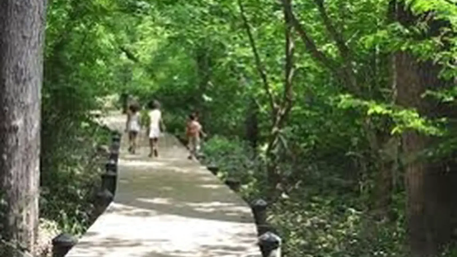 Trail on Theodore Roosevelt Island