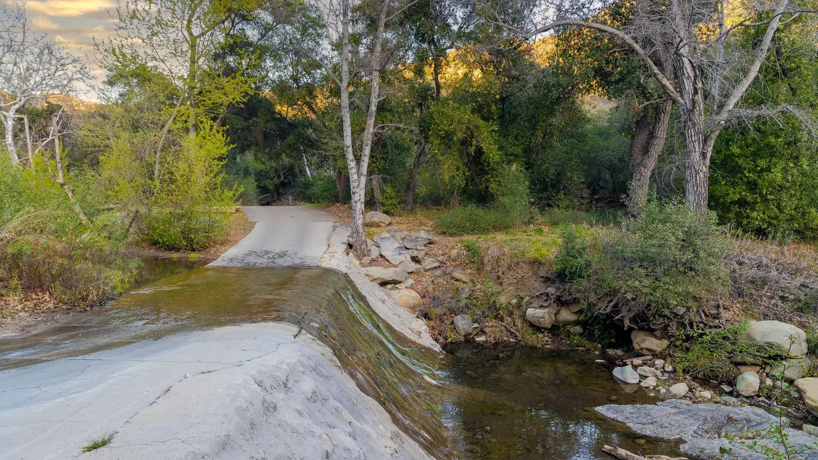 Wheeler Water