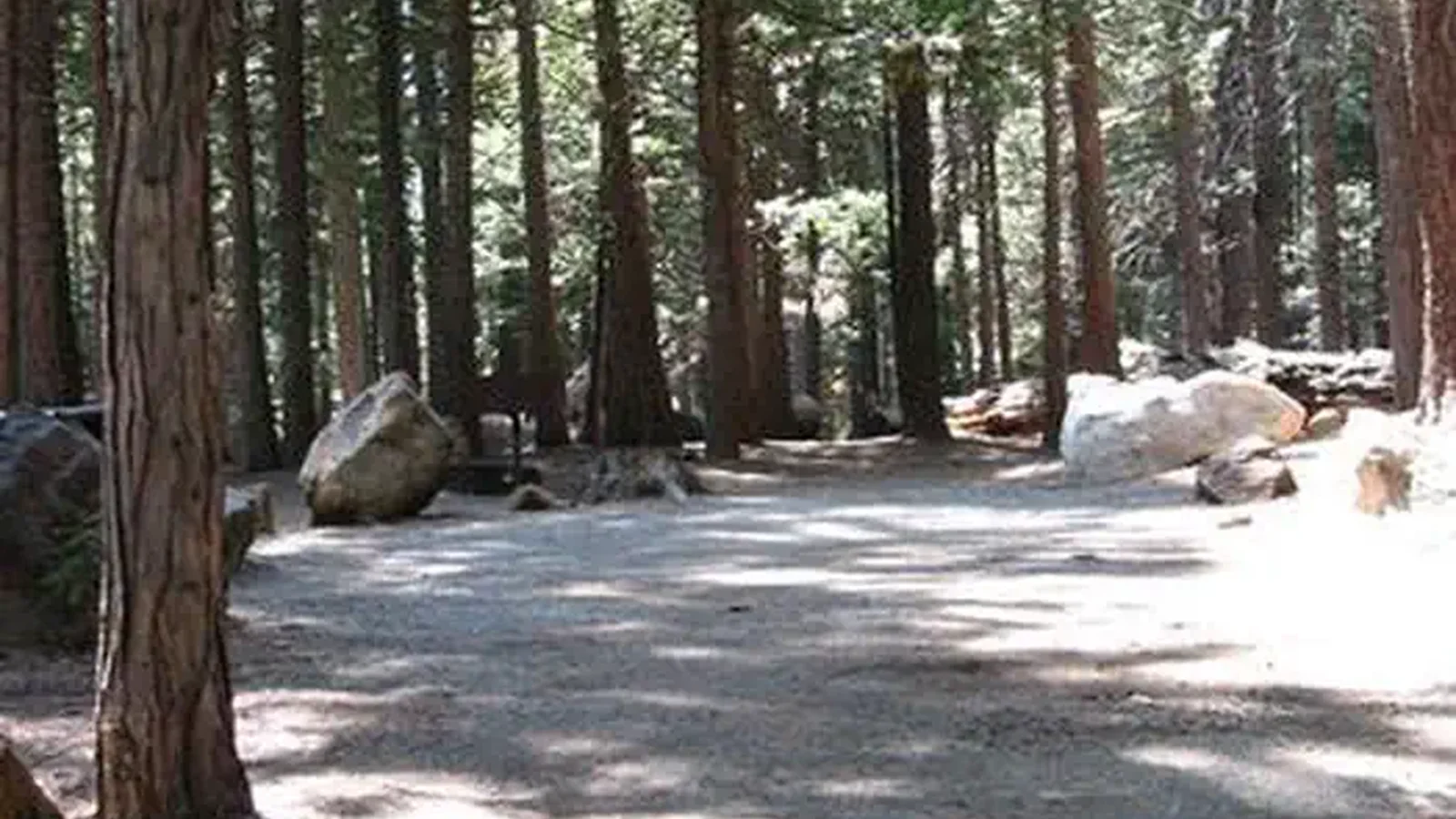 WENCH CREEK
