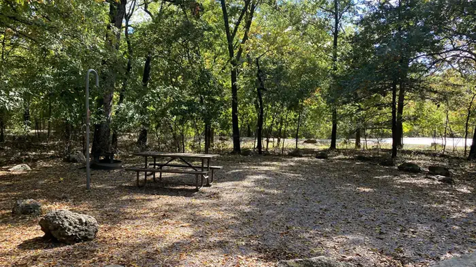 A campsite covered in yellow and orange leaves. A picnic table and lantern post are on the far left.