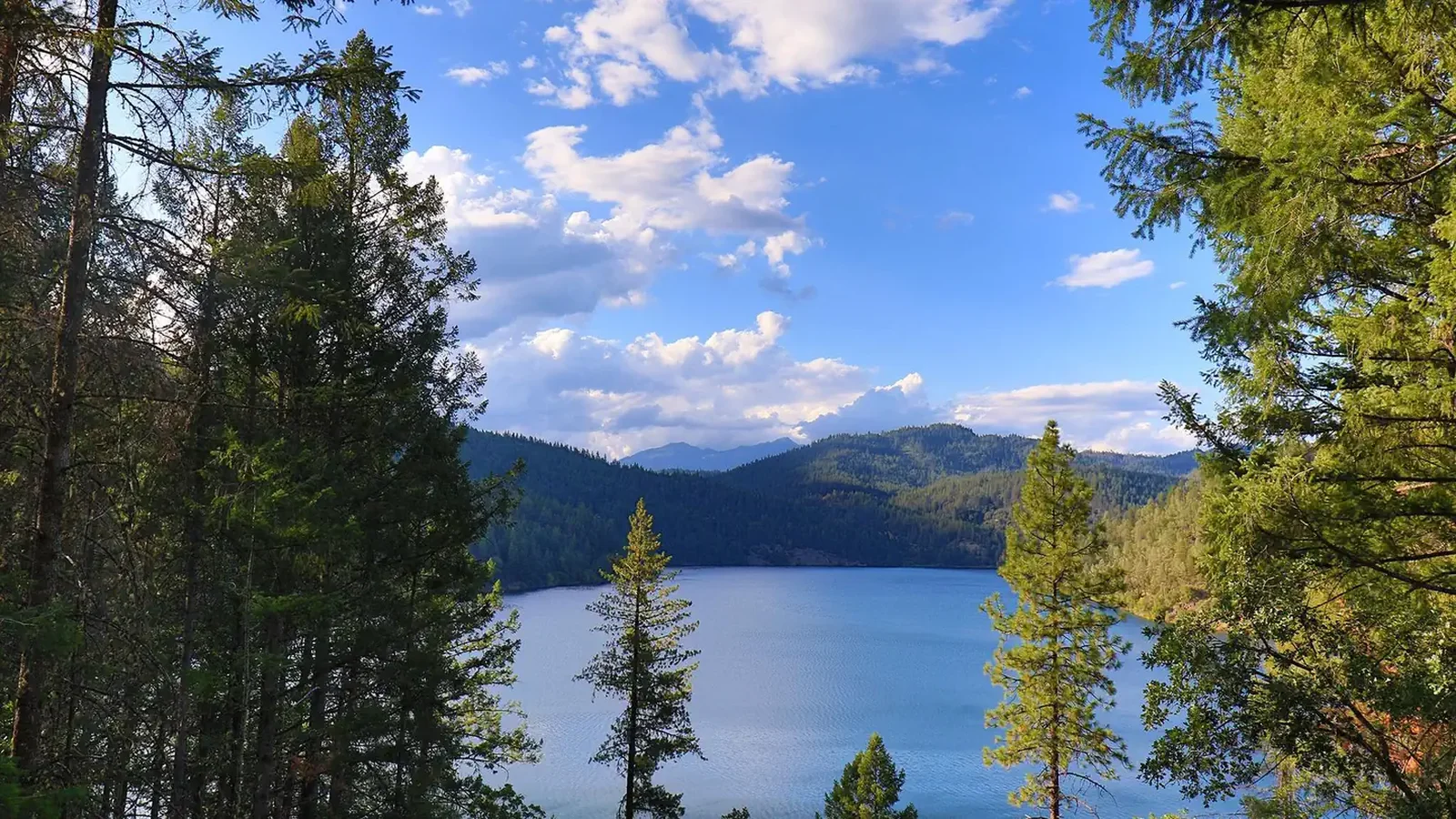 Trinity Lake