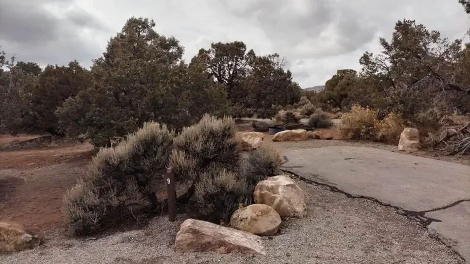 Site 9 at Natural Bridges