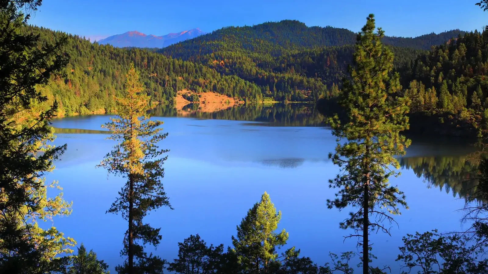 Trinity Lake
