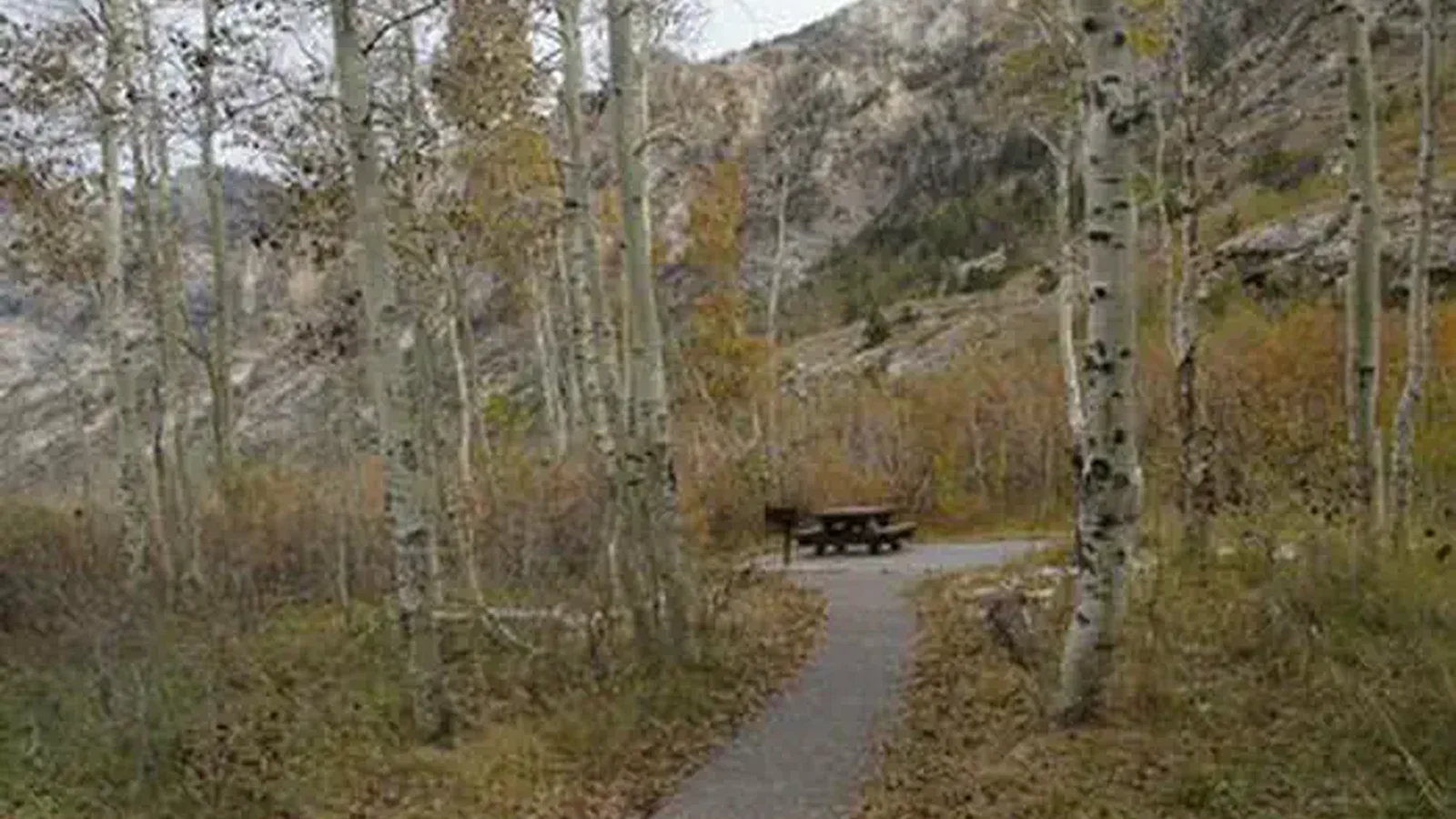 TERRACES CAMPGROUND - PICNIC AREA
