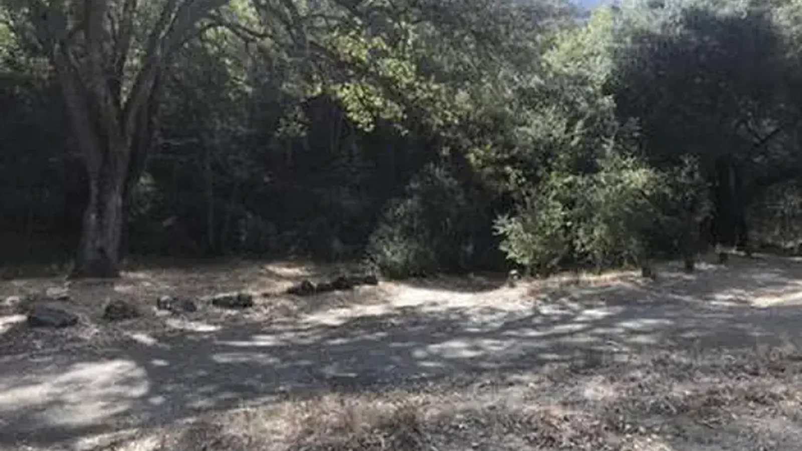DAVY BROWN CAMPGROUND