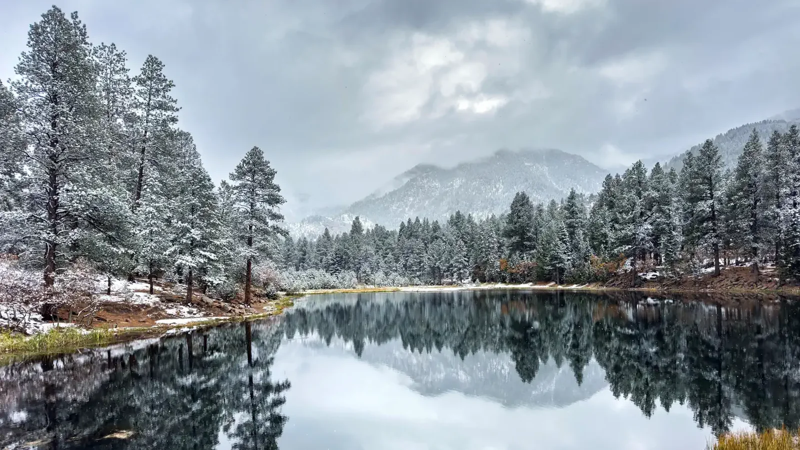 Winter at the reservoir