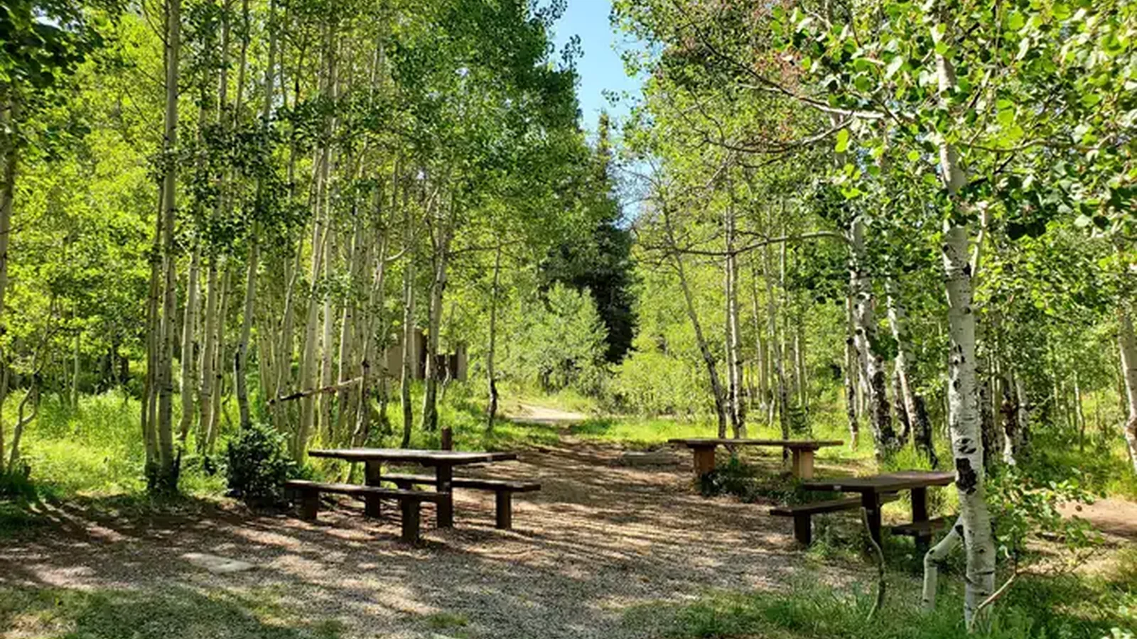 Gooseberry Group Campground Site #3
