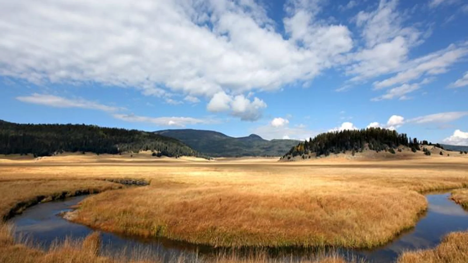 Wide Open Views of Valles Caldera