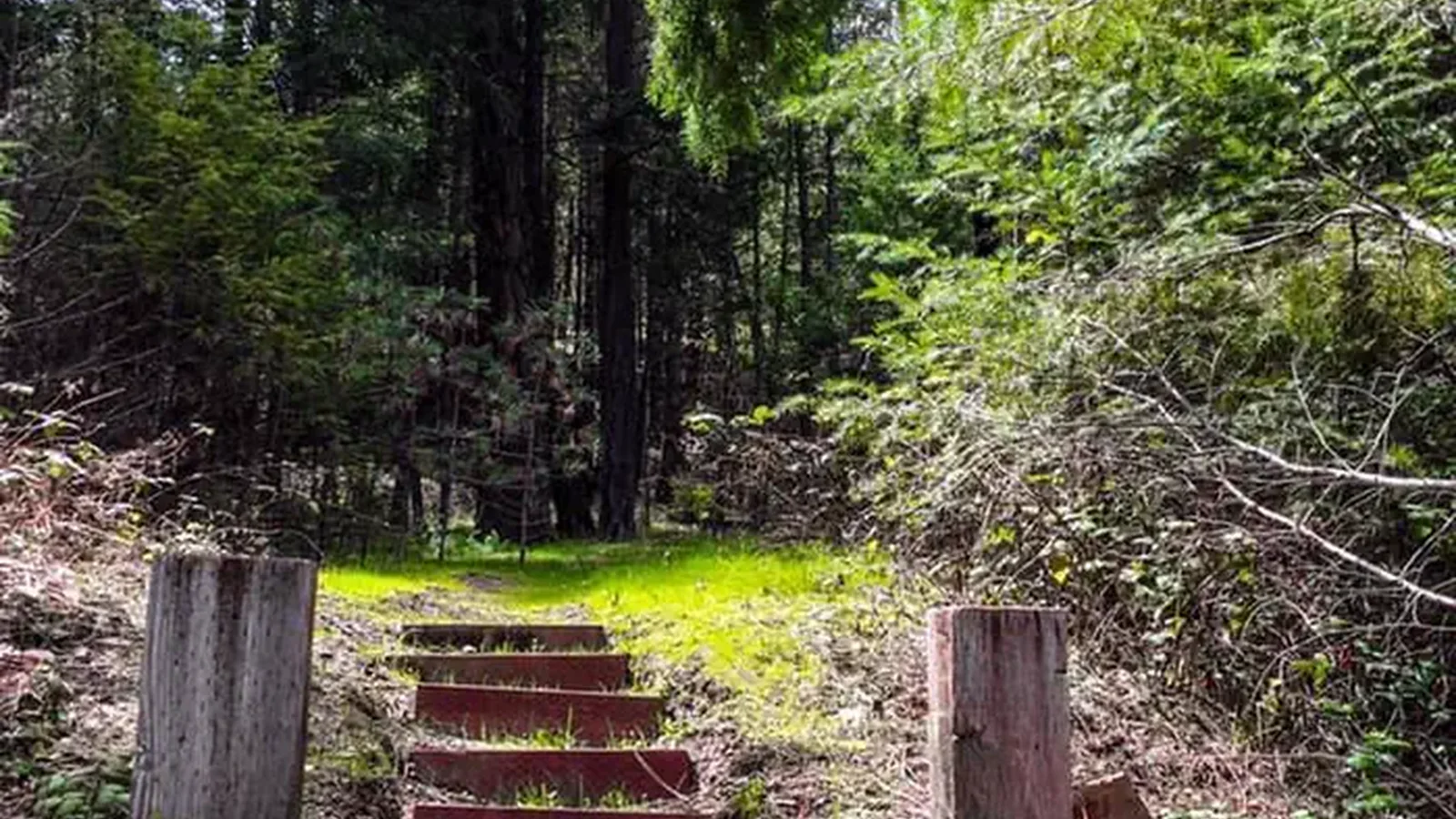Mary Smith Stairs