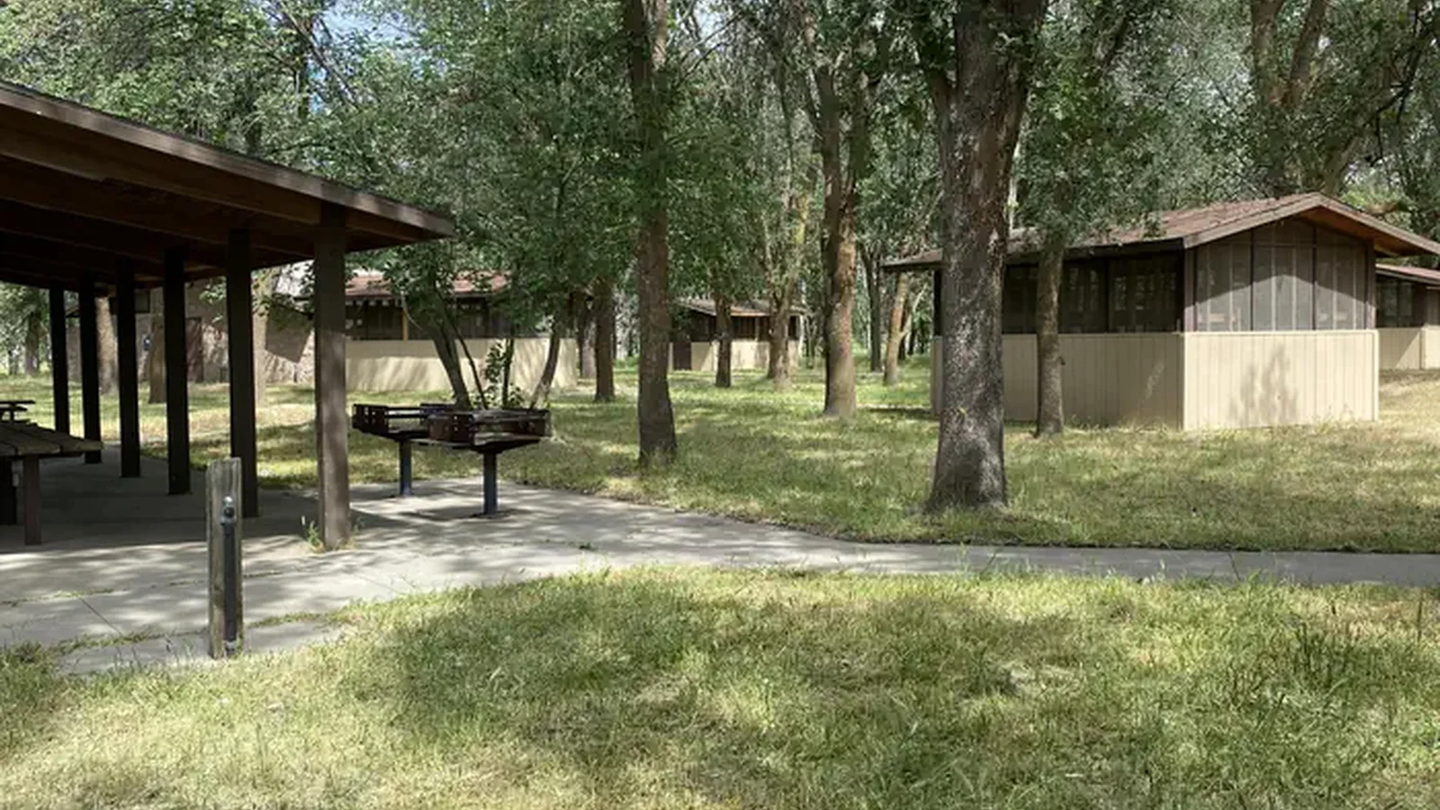 Sleeping cabins under trees