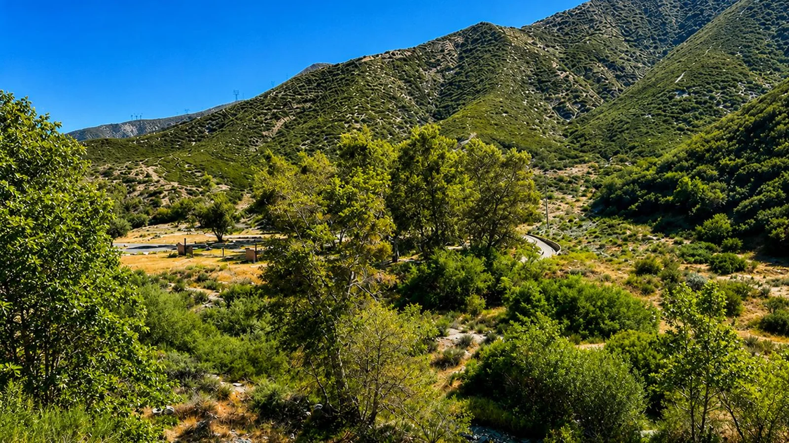 Overhead shot of Monte Cristo Campground