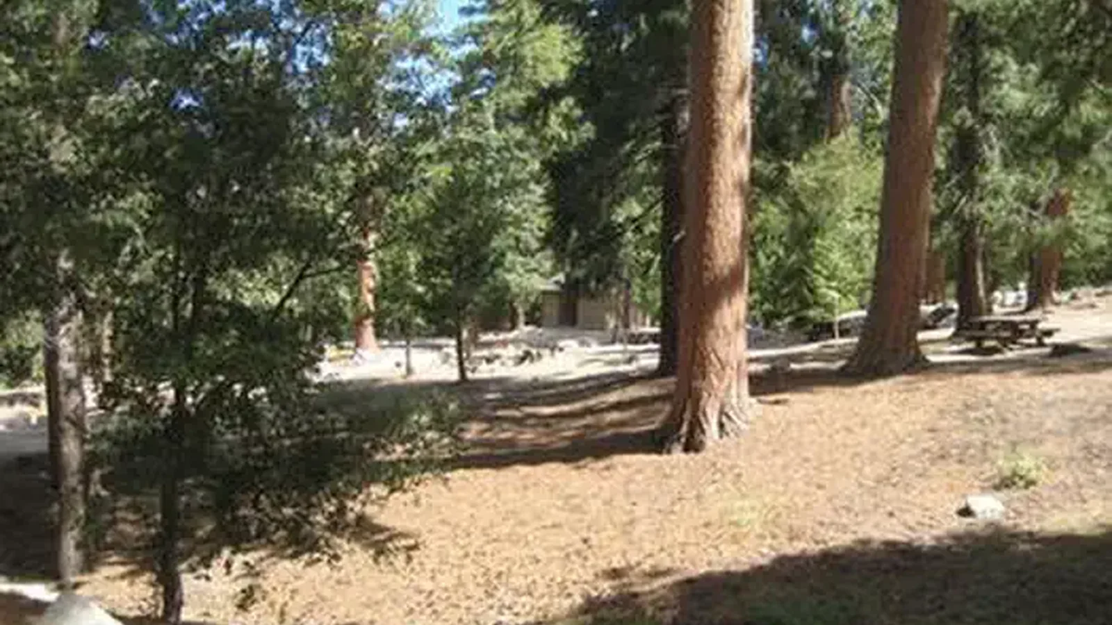 Marion Mountain Campground