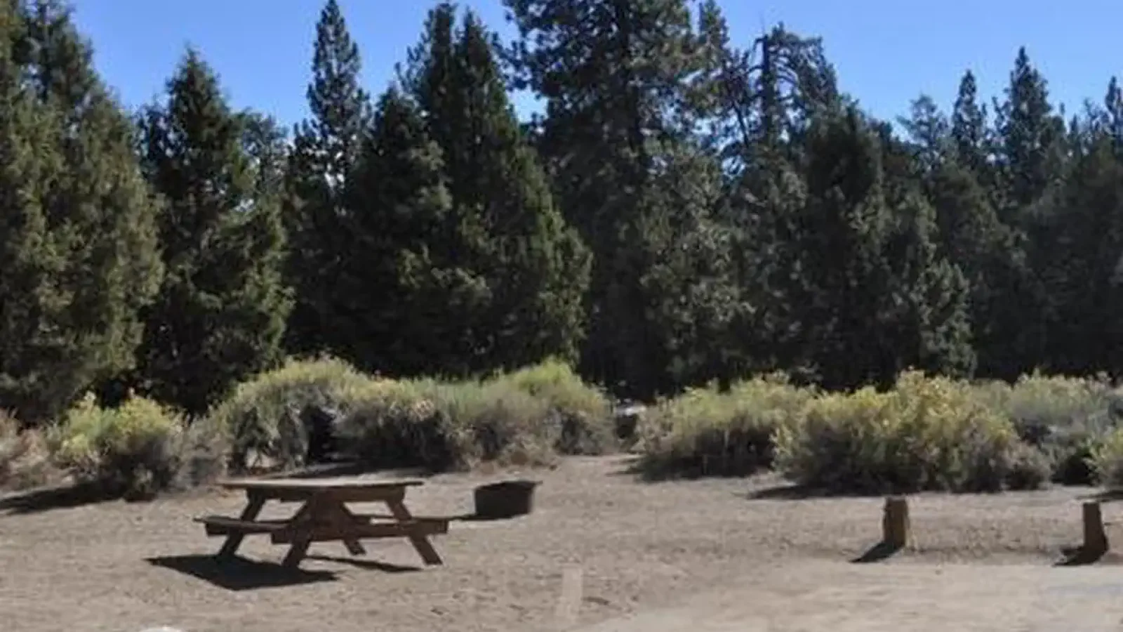 Serrano Campground picnic table